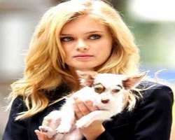 The actress is also an animal lover and has a dog named Jenny, and two Chihuahua puppies named as Coco Chanel and Bella. Her other two dogs are named 